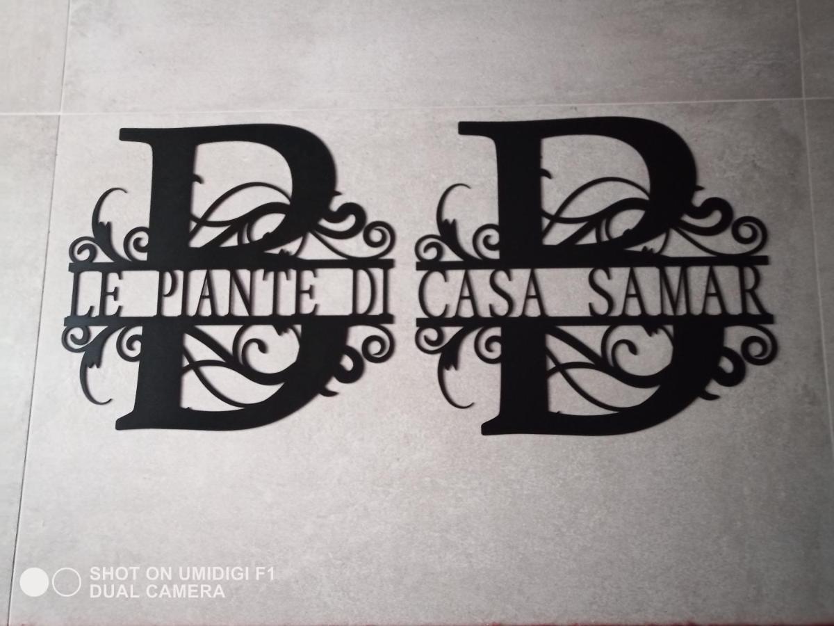 Le Piante Di Casa Samar Bed & Breakfast Castelguelfo Luaran gambar