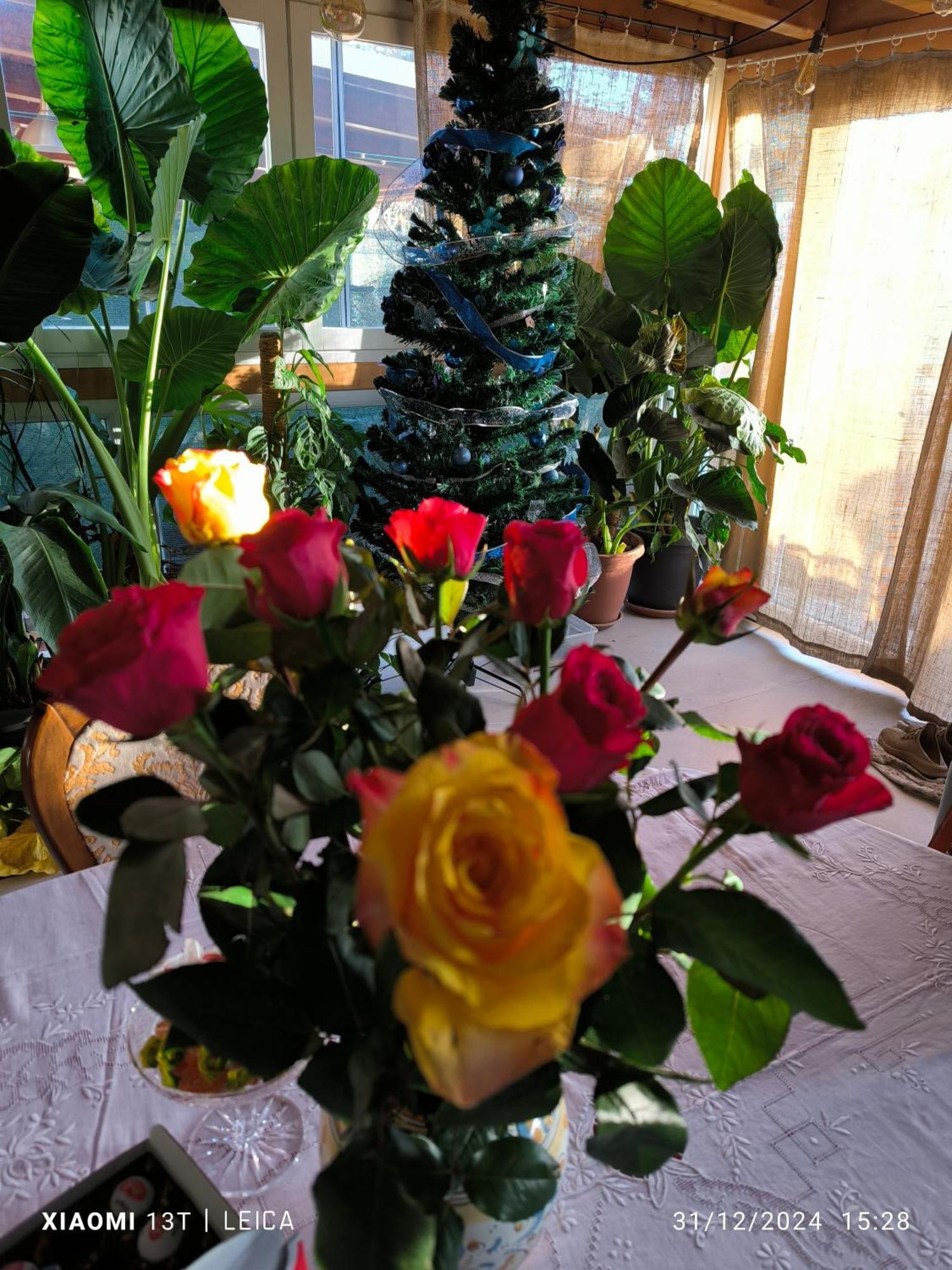 Le Piante Di Casa Samar Bed & Breakfast Castelguelfo Luaran gambar
